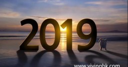 支付宝:2019年最后一个月,红包玩点不一样的!