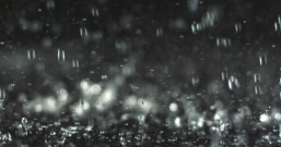 等着下雨过后再种玉米