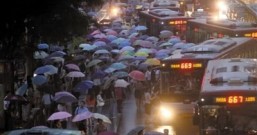 雨水多了也不好,今天去打了第三针的新冠疫苗