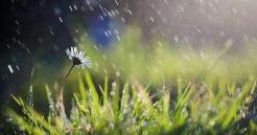 这几天又是毛毛细雨,晚上洗的衣服又不容易干了