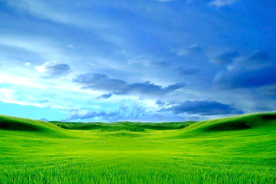 大草原，windows xp背景图片