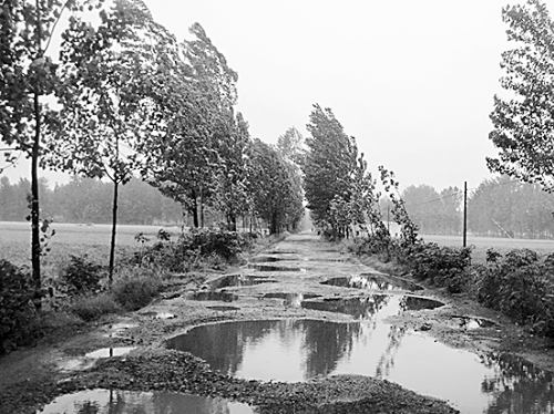 下过雨后的土路