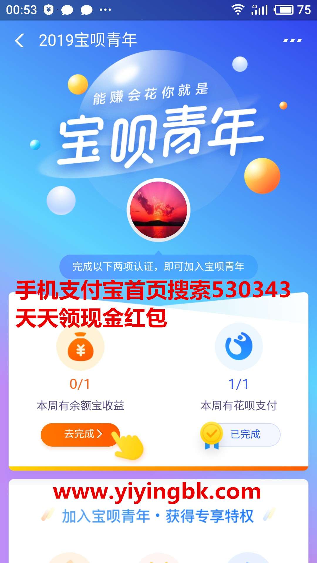 支付宝2019宝呗青年