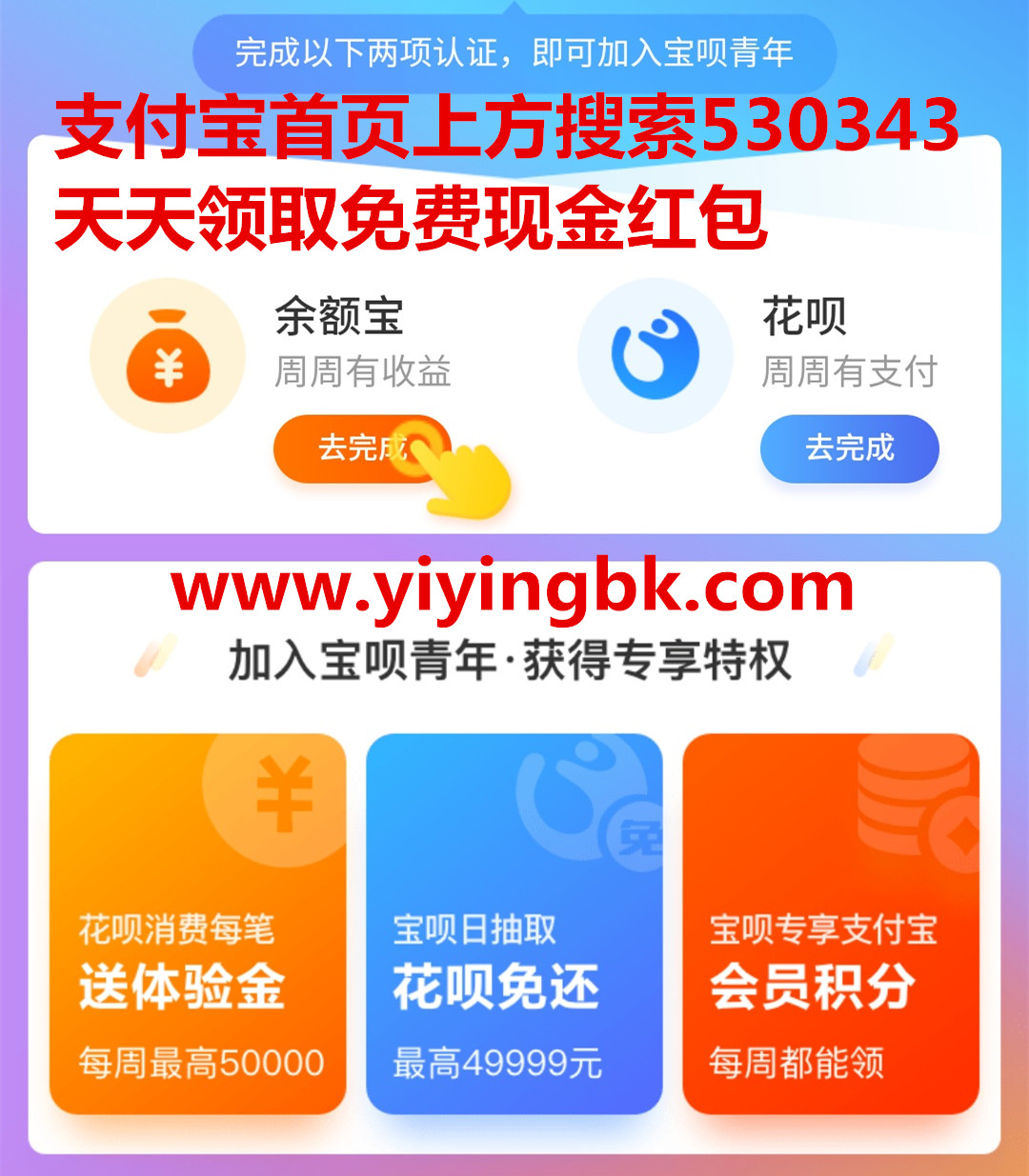 支付宝宝呗青年
