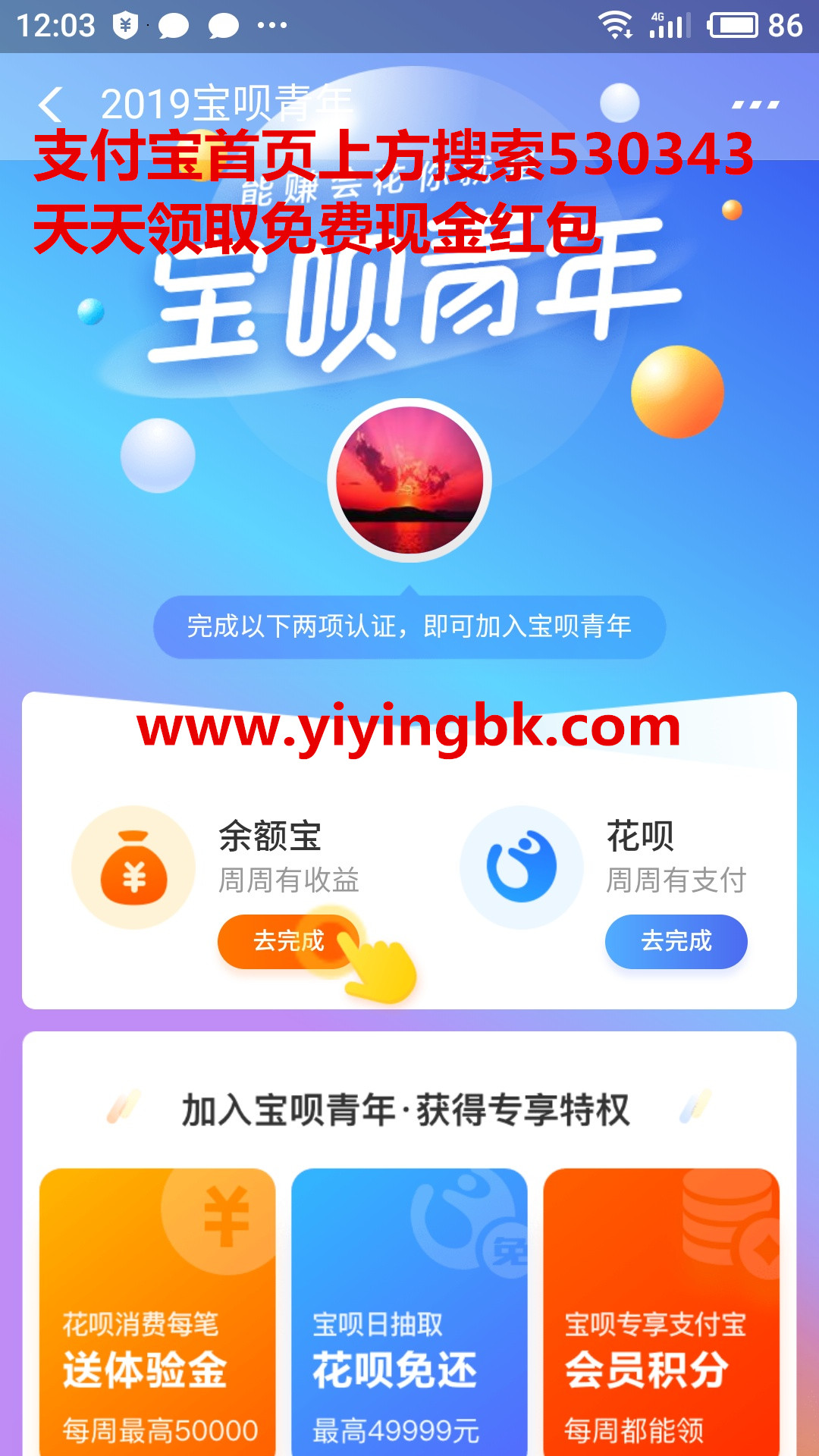 支付宝宝呗青年
