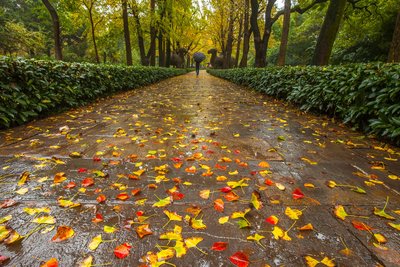 秋后的雨，www.yiyingbk.com