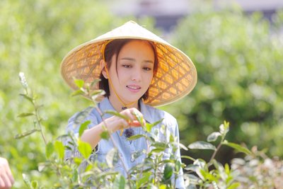 一段回忆的生活，www.yiyingbk.com