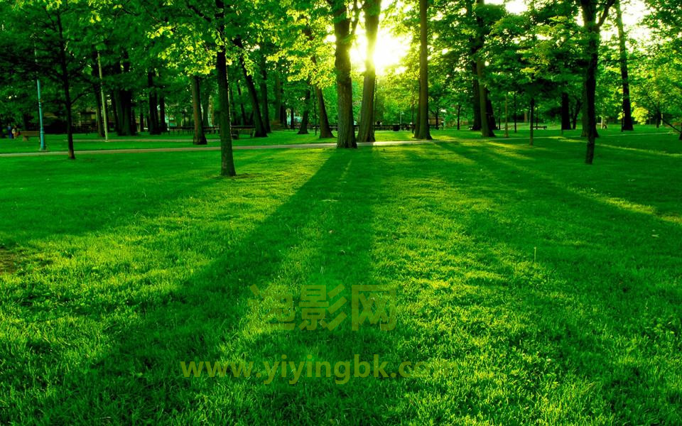 美丽好看有太阳的风景照片，www.yiyingbk.com