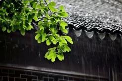 雨中的声音，www.yiyingbk.com