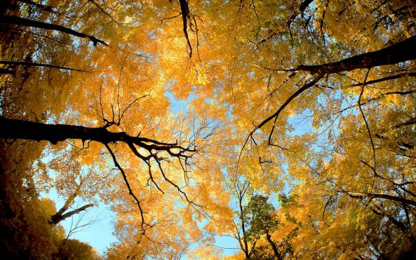 秋来秋去，这是丰收的秋天之美！www.yiyingbk.com