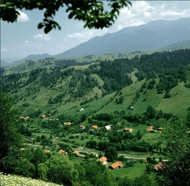 乡村的美丽风景！www.yiyingbk.com