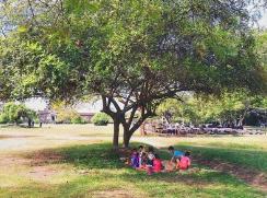 大树底下好乘凉!www.yiyingbk.com 大树底下好乘凉!www.yiyingbk.com