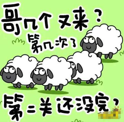 羊了个羊，哥几个又来了？这是第几次了？第二关还没有完成呢！www.yiyingbk.com