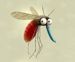 夏天的蚊子非常的烦人