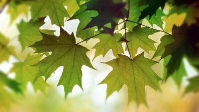 天气变暖和了